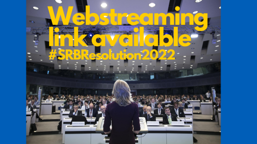 SRB Annual Conference 2024: Report Available Now! | Single Resolution Board